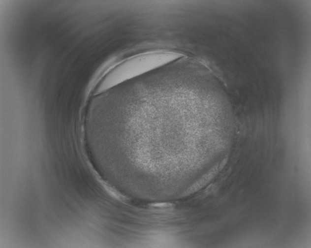 X0000054380053200508270018