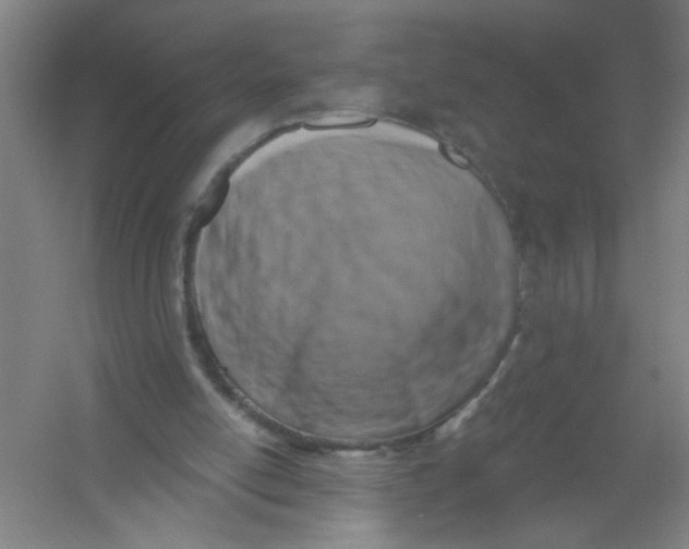 X0000054380054200508270018