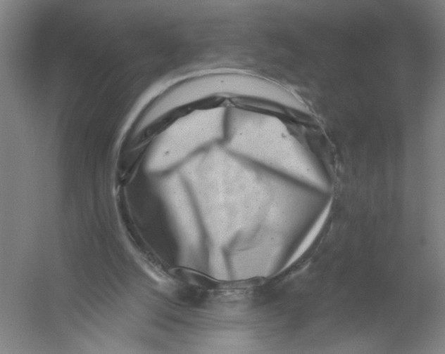 X0000054380056200508270018