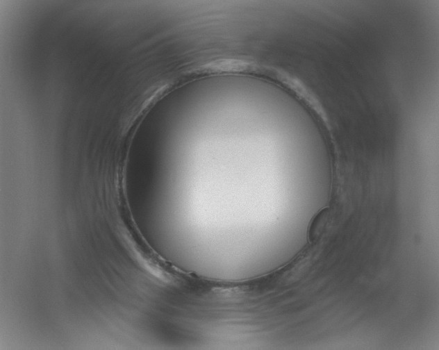 X0000054380057200508270018