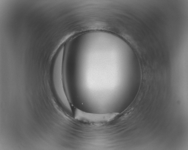 X0000054380060200508270018