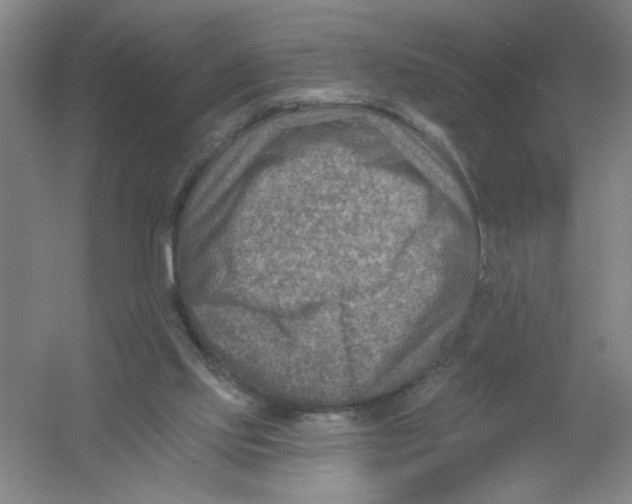 X0000054380061200508270018