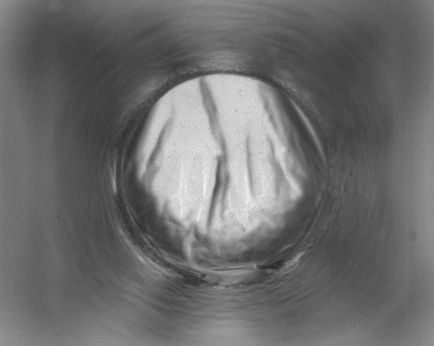 X0000054380062200508270018