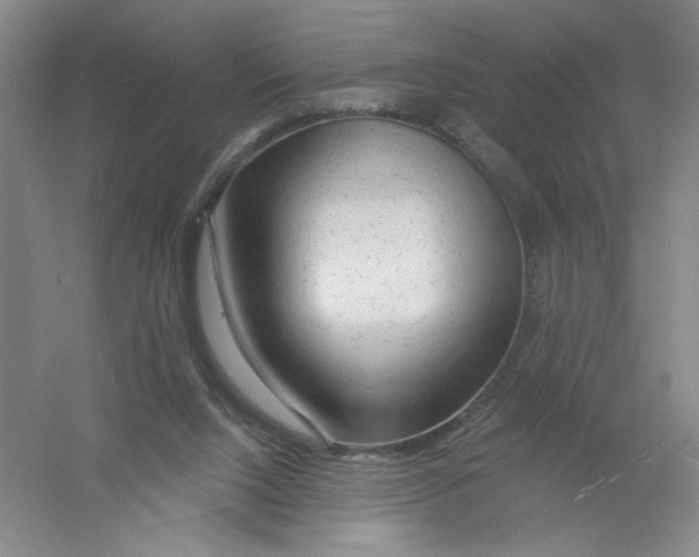 X0000054380064200508270018