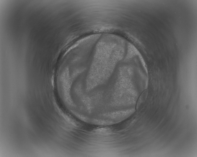 X0000054380067200508270018