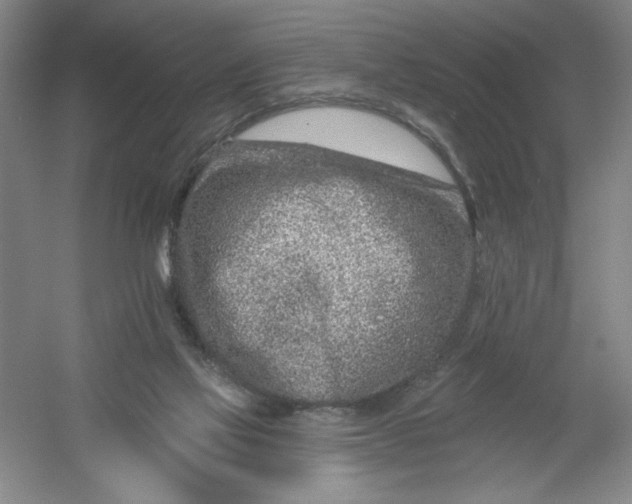 X0000054380069200508270018