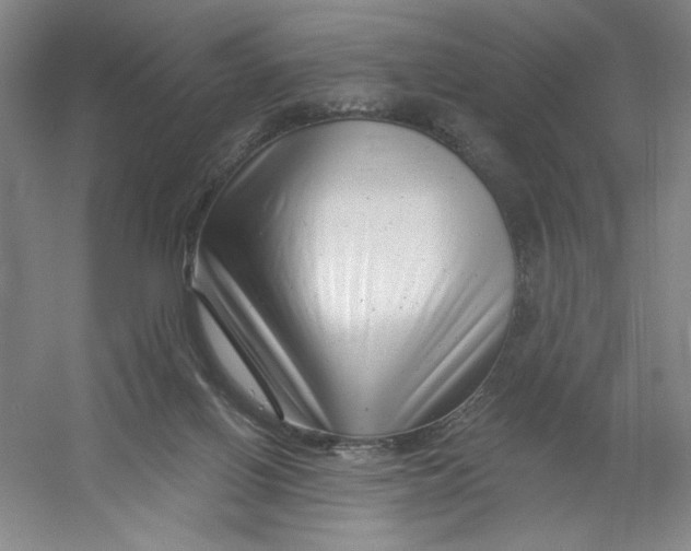 X0000054380070200508270018