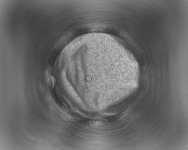 X0000054380074200508270018