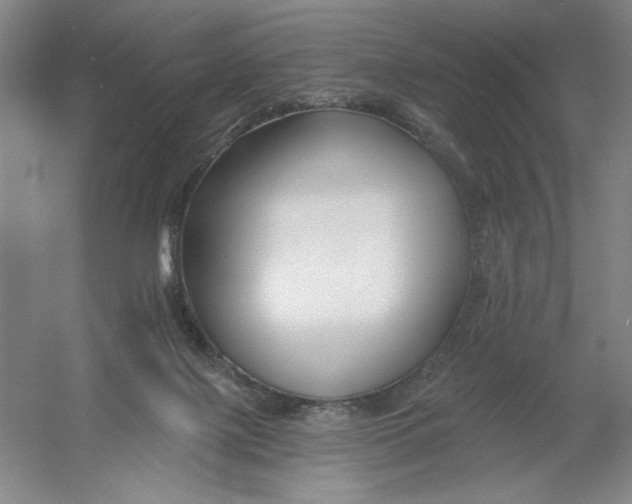 X0000054380075200508270018