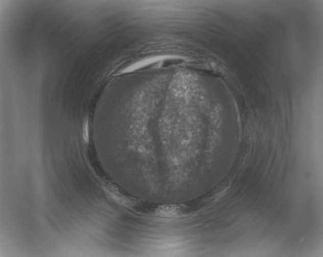 X0000054380076200508270018