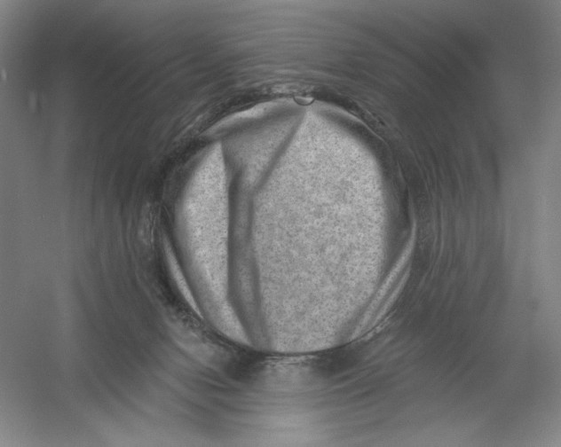 X0000054380078200508270018