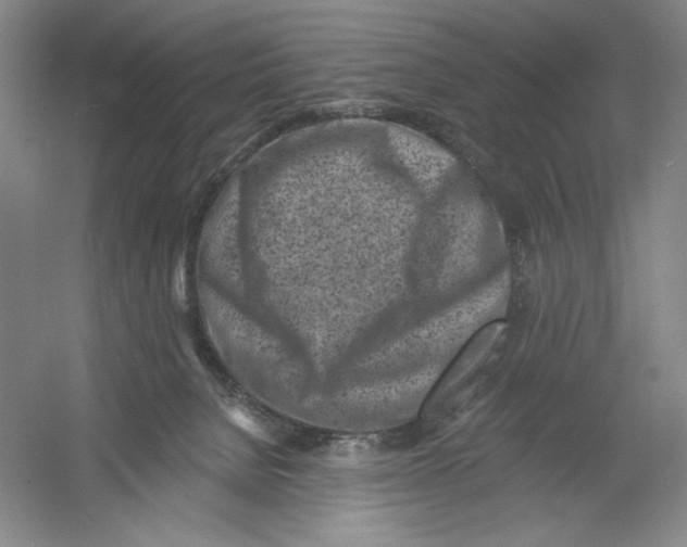 X0000054380080200508270019