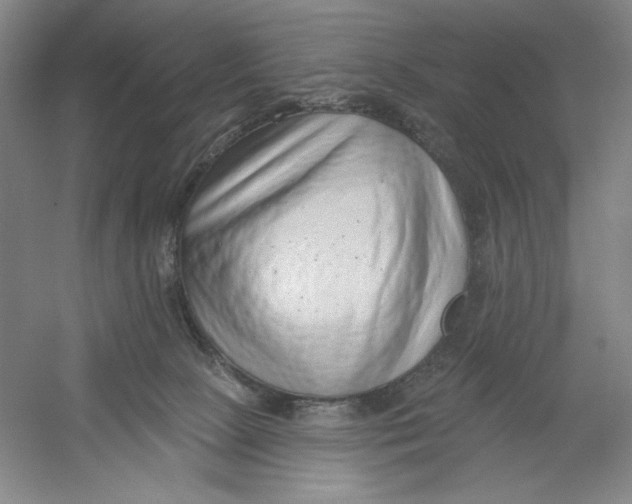 X0000054380081200508270019