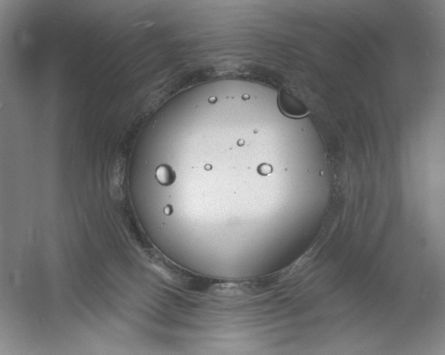 X0000054380082200508270019