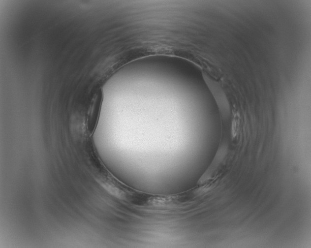 X0000054380084200508270019