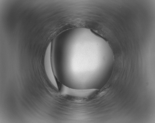 X0000054380088200508270019