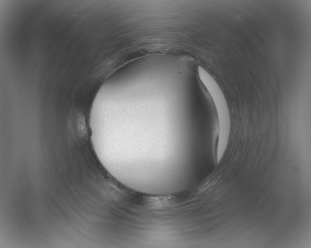 X0000054380089200508270019