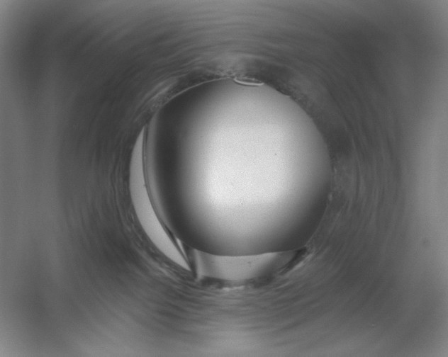 X0000054380092200508270019