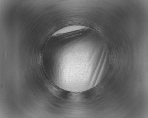 X0000054380093200508270019