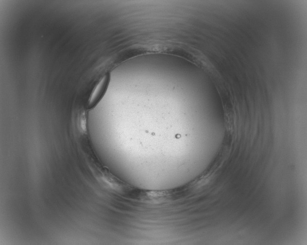 X0000054380095200508270019