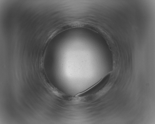 X0000054380096200508270019