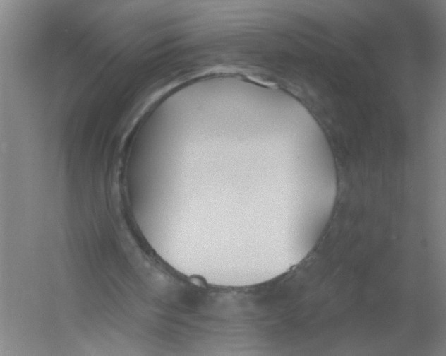 X0000054380098200508270018