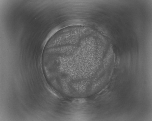 X0000054380099200508270018