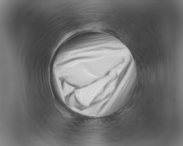 X0000054380100200508270018