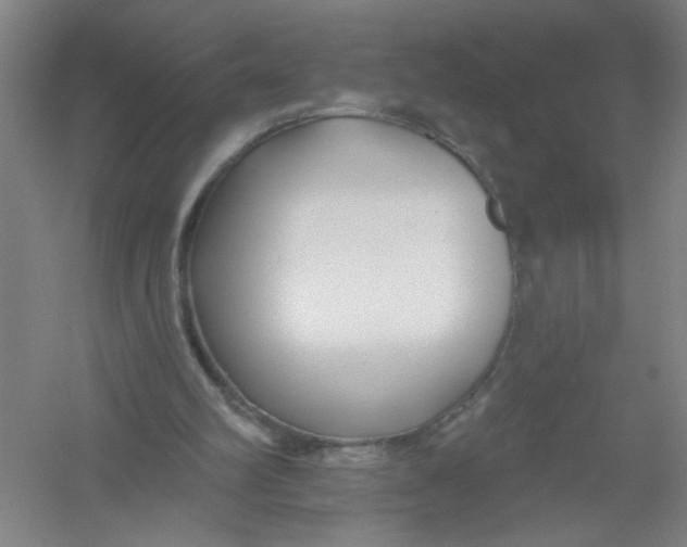 X0000054380102200508270018