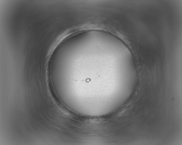 X0000054380103200508270018