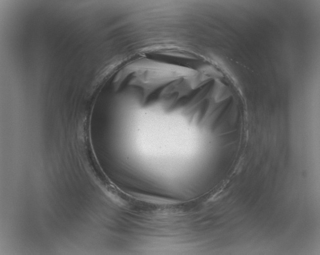 X0000054380105200508270018