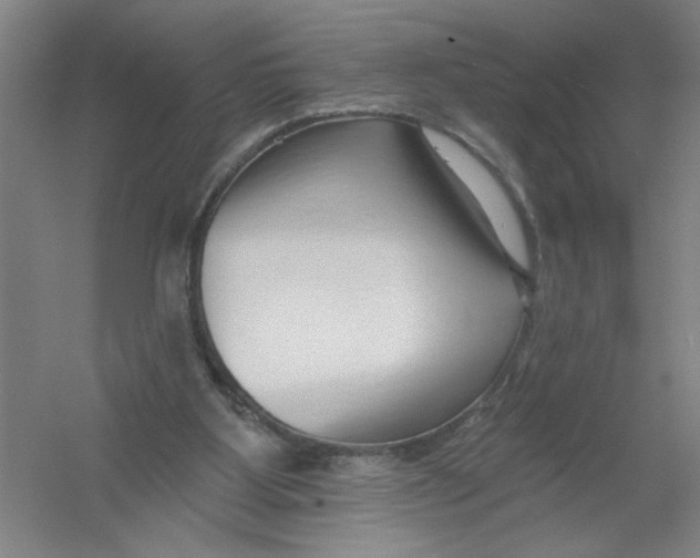 X0000054380107200508270018