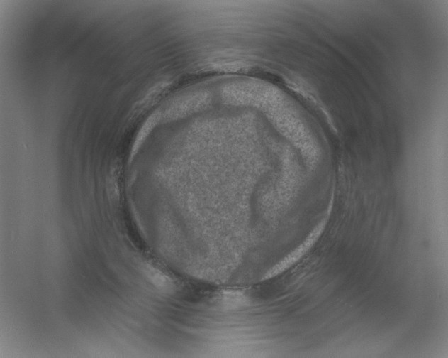 X0000054380114200508270018