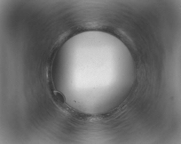 X0000054380115200508270018