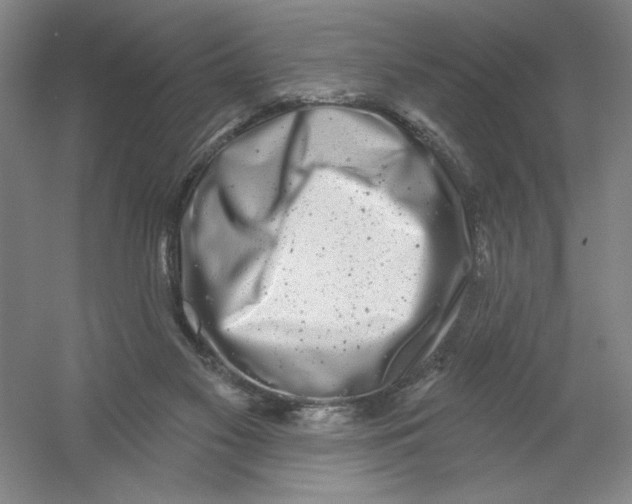 X0000054380117200508270018