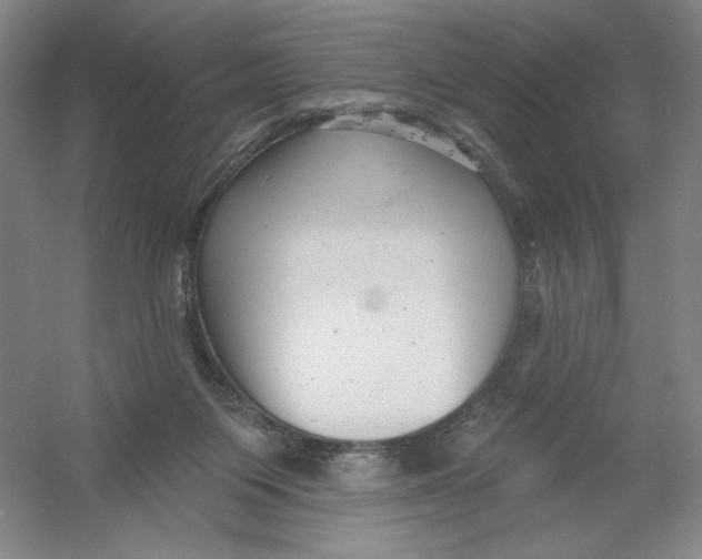 X0000054380119200508270018