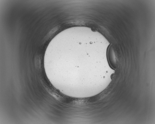 X0000054380120200508270018