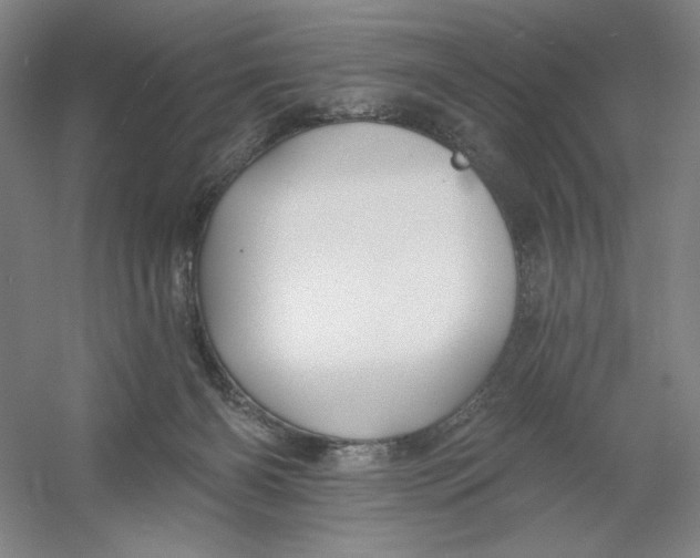 X0000054380126200508270017