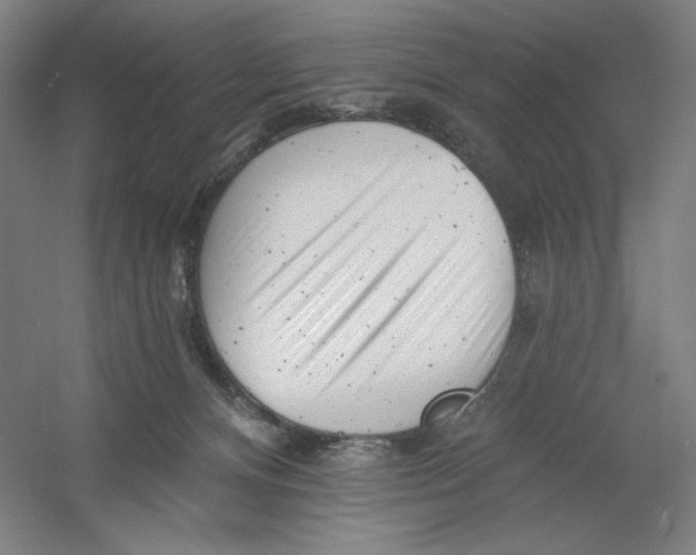 X0000054380128200508270017