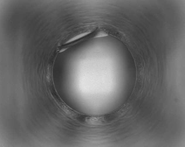 X0000054380129200508270017