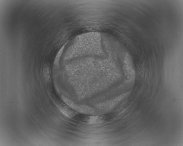 X0000054380130200508270017