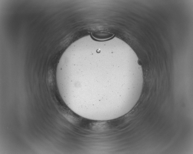 X0000054380132200508270017