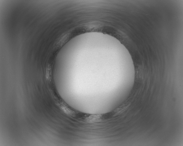 X0000054380138200508270017