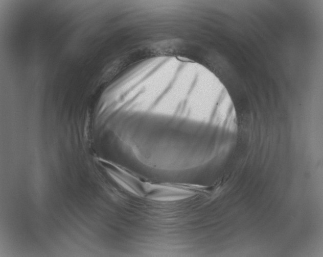 X0000054380139200508270017