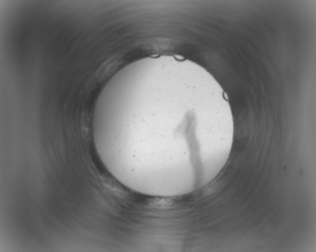 X0000054380140200508270017