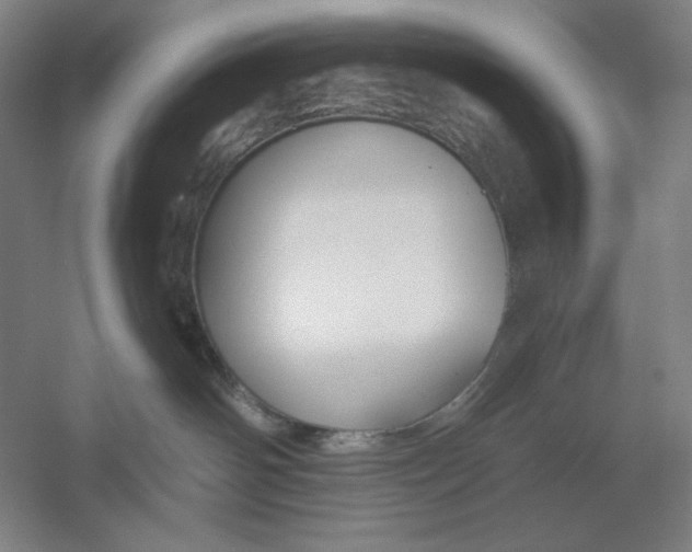 X0000054380142200508270017