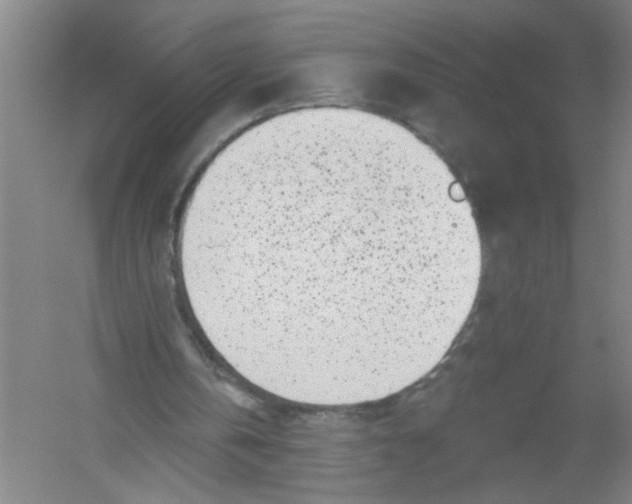 X0000054380146200508270016