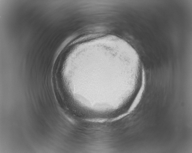 X0000054380147200508270016