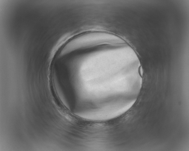 X0000054380151200508270016