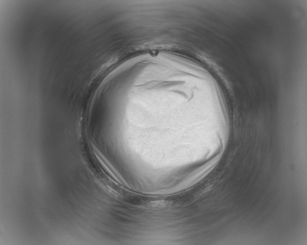 X0000054380153200508270016